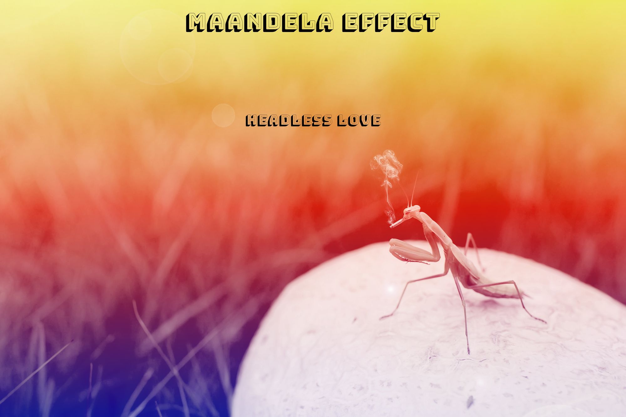 Maandela Effect newest single